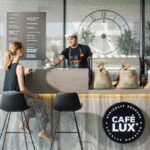 How to Use Static QR Codes to Boost Your Cafe Business?